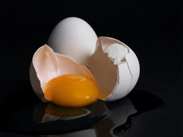 آنتی بادی IgY زرده تخم مرغ | درمان علیه روتاویروس