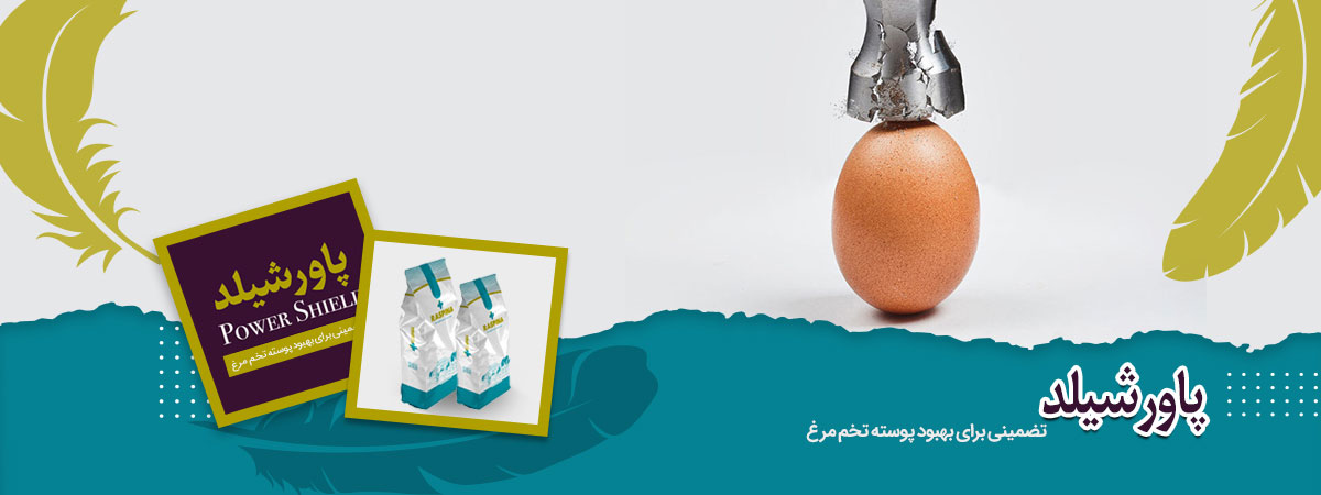 مکمل بهبود کیفیت پوسته تخم مرغ