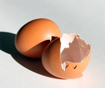 عوامل موثر بر کیفیت پوسته تخم مرغ